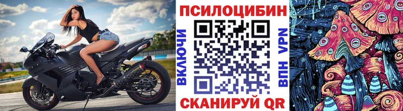 Галлюциногенные грибы Cubensis  shop Telegram  Константиновск 