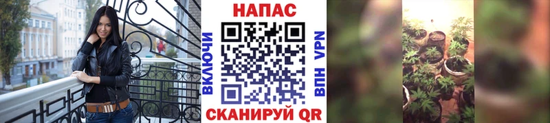 наркошоп  Константиновск  Каннабис Amnesia 